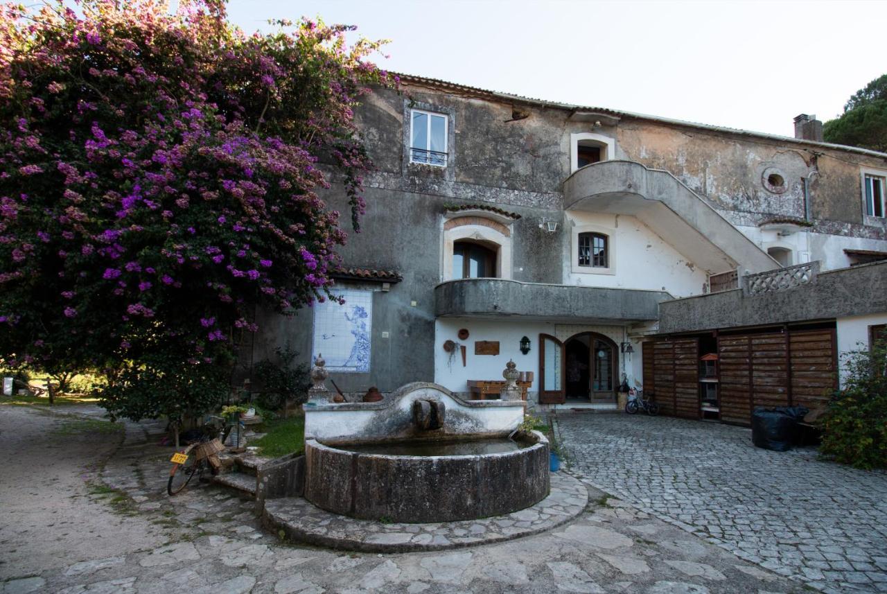 Quinta De Rio Alcaide Villa Porto de Mos  Ngoại thất bức ảnh